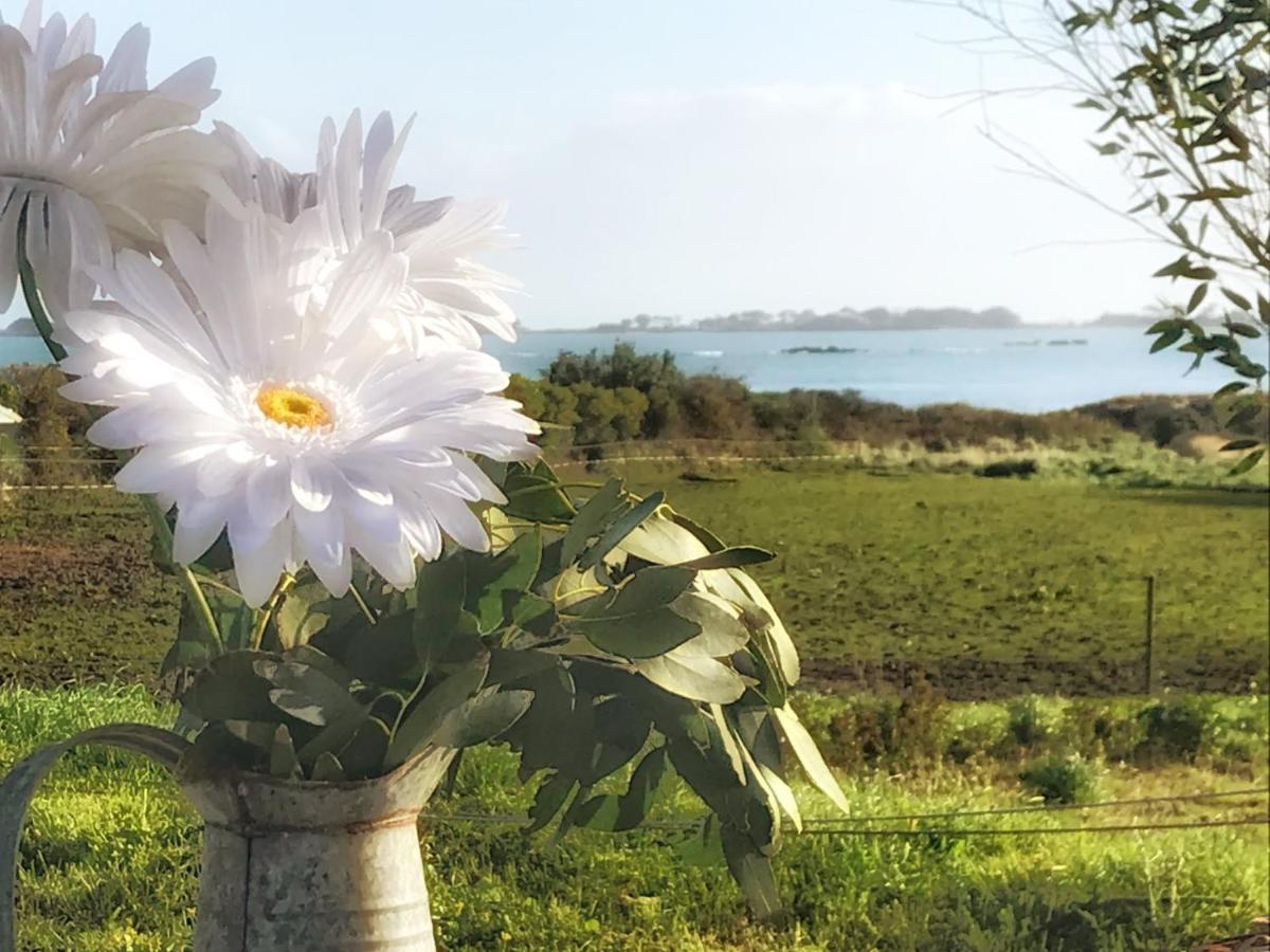 Le Petit Gite Cosy De Kerigou Avec Vue Mer Et Plage Saint-Pol-de-Léon Esterno foto